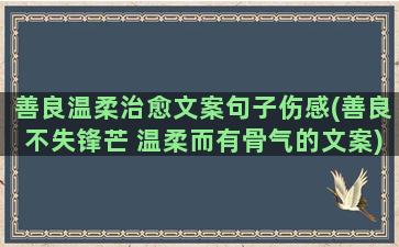 善良温柔治愈文案句子伤感(善良不失锋芒 温柔而有骨气的文案)